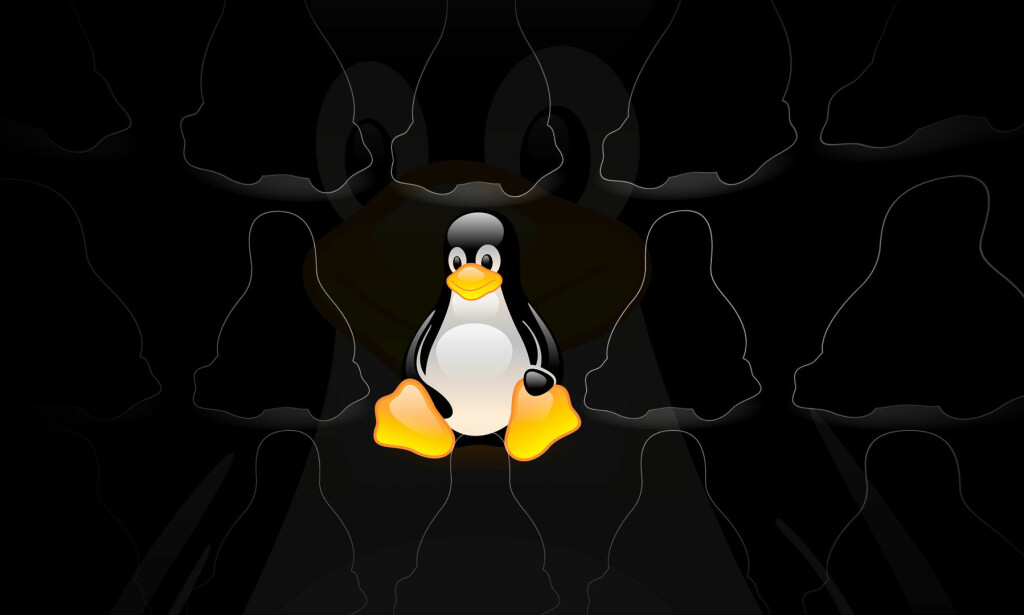 Linux-kjerneprosjektet har fått nye retningslinjer. Spørsmålet er hva som skjer med koden om en utvikler bryter dem. Fotomontasje: Jørgen Jacobsen