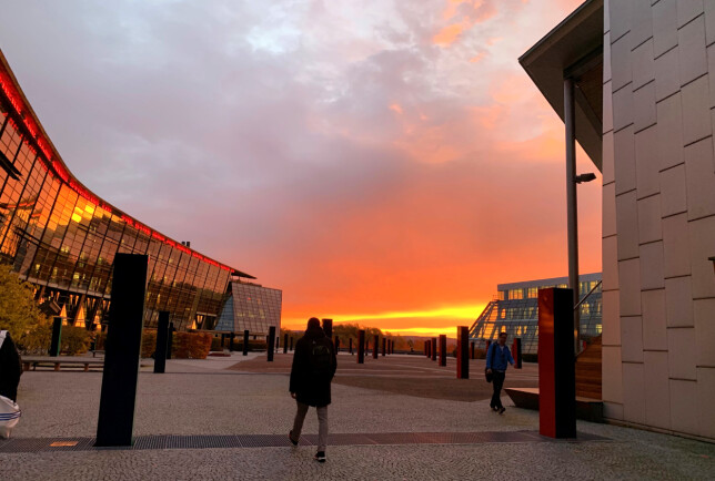 Solnedgang over Telenor-bygget på Fornebu, der Jenny Bonsak jobber. 📸: Privat